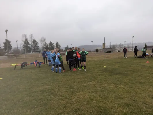 14.03.2025 SV 1990 Ebersdorf vs. VFB Moschendorf