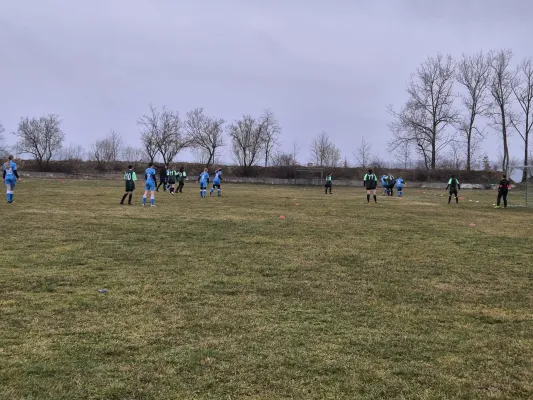 14.03.2025 SV 1990 Ebersdorf vs. VFB Moschendorf