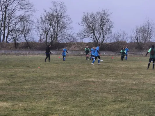 14.03.2025 SV 1990 Ebersdorf vs. VFB Moschendorf