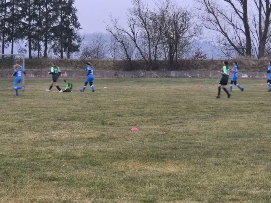 14.03.2025 SV 1990 Ebersdorf vs. VFB Moschendorf