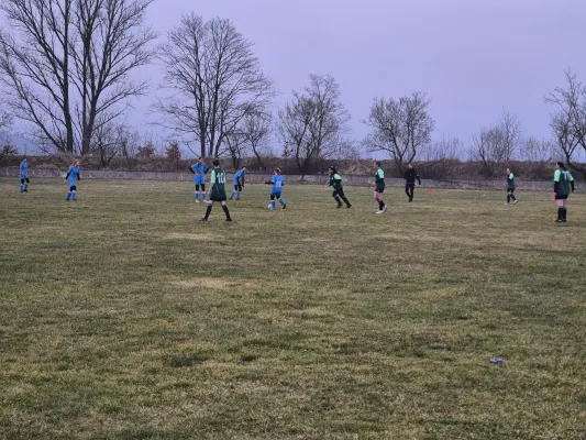 14.03.2025 SV 1990 Ebersdorf vs. VFB Moschendorf