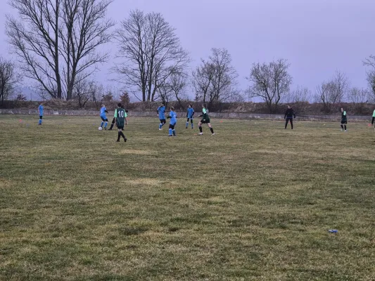 14.03.2025 SV 1990 Ebersdorf vs. VFB Moschendorf