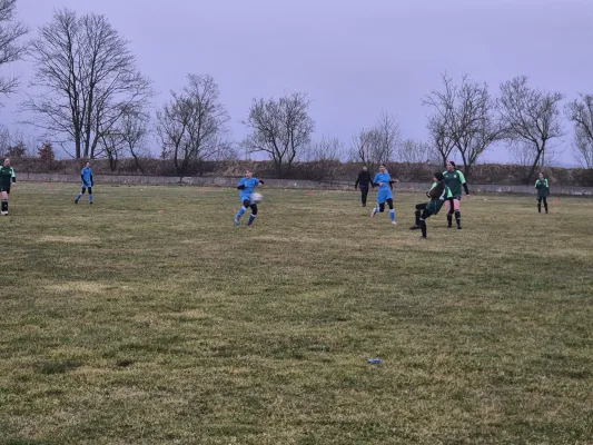 14.03.2025 SV 1990 Ebersdorf vs. VFB Moschendorf