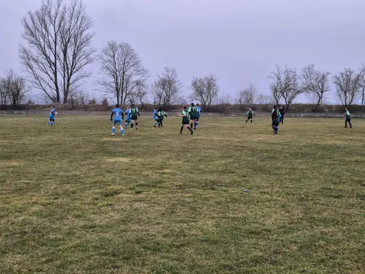 14.03.2025 SV 1990 Ebersdorf vs. VFB Moschendorf