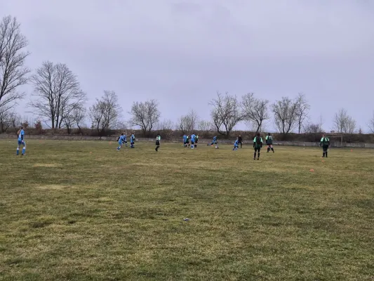 14.03.2025 SV 1990 Ebersdorf vs. VFB Moschendorf