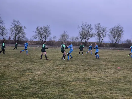 14.03.2025 SV 1990 Ebersdorf vs. VFB Moschendorf