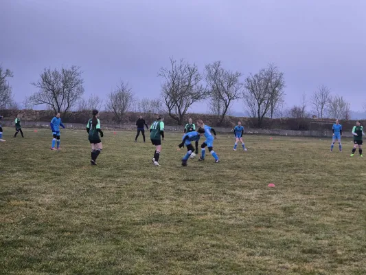 14.03.2025 SV 1990 Ebersdorf vs. VFB Moschendorf