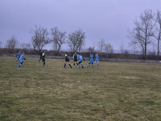 14.03.2025 SV 1990 Ebersdorf vs. VFB Moschendorf