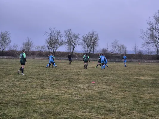 14.03.2025 SV 1990 Ebersdorf vs. VFB Moschendorf