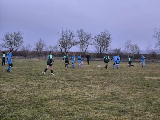 14.03.2025 SV 1990 Ebersdorf vs. VFB Moschendorf