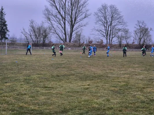 14.03.2025 SV 1990 Ebersdorf vs. VFB Moschendorf