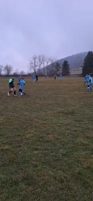 14.03.2025 SV 1990 Ebersdorf vs. VFB Moschendorf