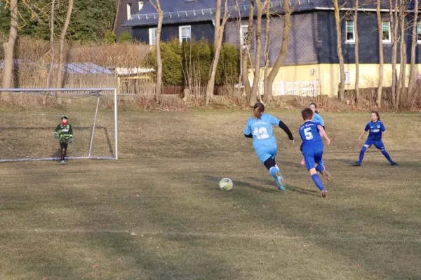 20.03.2025 TSV Gahma vs. SV 1990 Ebersdorf