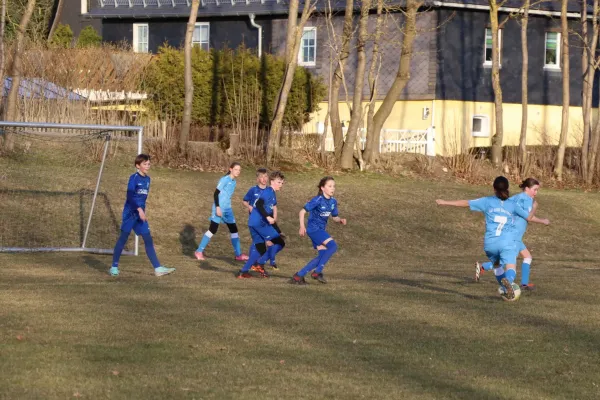 20.03.2025 TSV Gahma vs. SV 1990 Ebersdorf