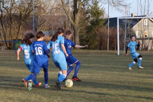 20.03.2025 TSV Gahma vs. SV 1990 Ebersdorf