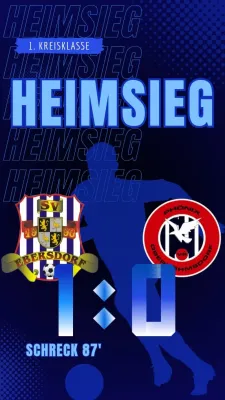 13.04.2025 SV 1990 Ebersdorf vs. VFR Phönix