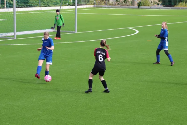 25.04.2025 SC Syrau vs. SV 1990 Ebersdorf