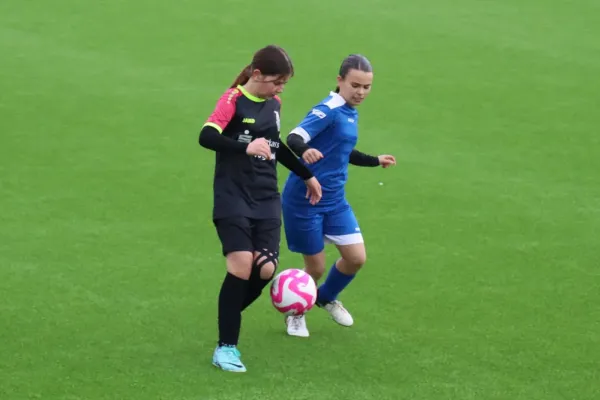 25.04.2025 SC Syrau vs. SV 1990 Ebersdorf