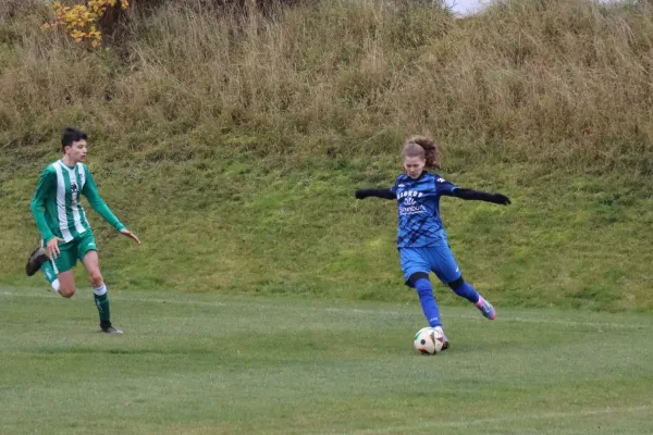 09.11.2025 SV 1990 Ebersdorf vs. LSV 49 Oettersdorf II