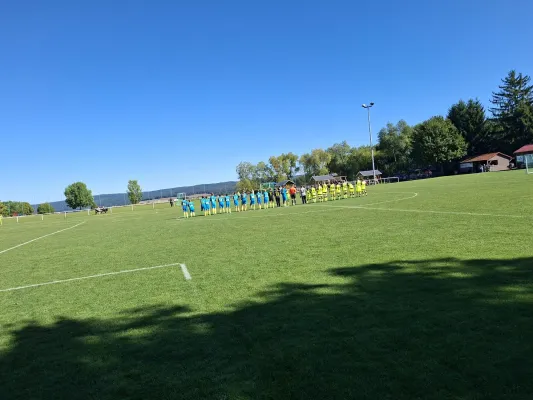 31.08.2025 Bodelwitzer SV vs. SV 1990 Ebersdorf