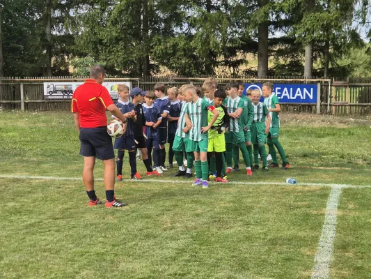 23.08.2025 SG SV Grün-Weiß Tanna vs. SV 1990 Ebersdorf
