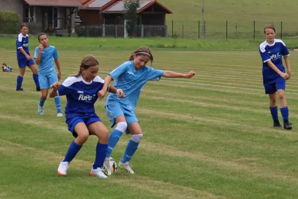 16.08.2025 SG Medizin Bad Sulza vs. SV 1990 Ebersdorf