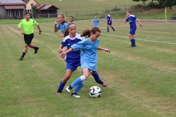 16.08.2025 SG Medizin Bad Sulza vs. SV 1990 Ebersdorf