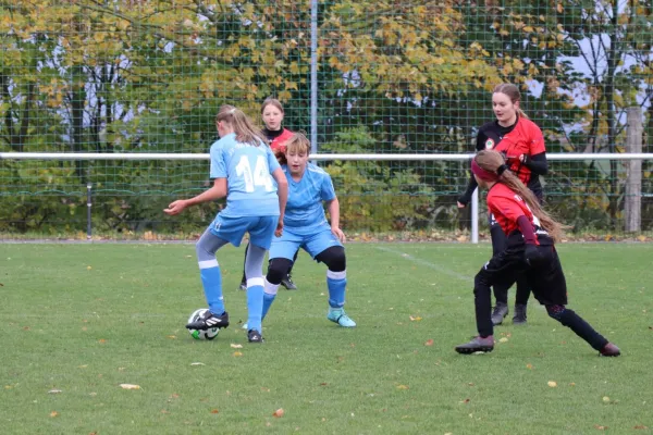 26.10.2025 SV Fortuna G. vs. SV 1990 Ebersdorf