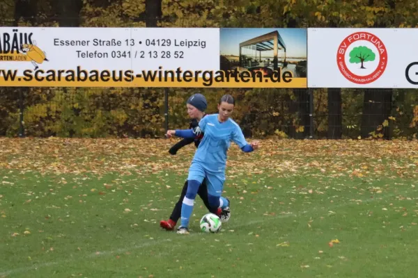 26.10.2025 SV Fortuna G. vs. SV 1990 Ebersdorf