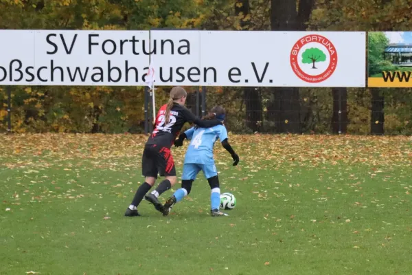 26.10.2025 SV Fortuna G. vs. SV 1990 Ebersdorf