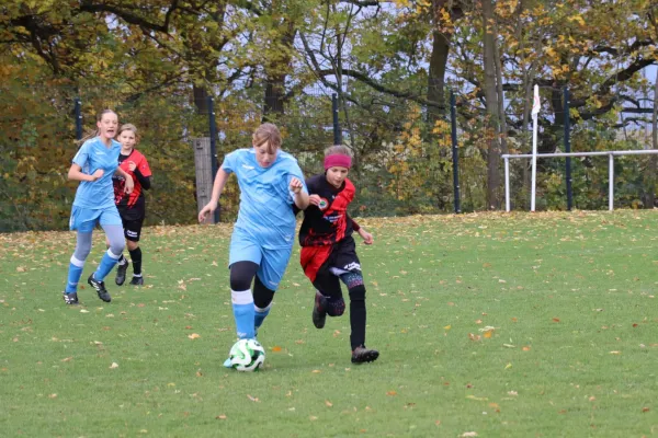 26.10.2025 SV Fortuna G. vs. SV 1990 Ebersdorf