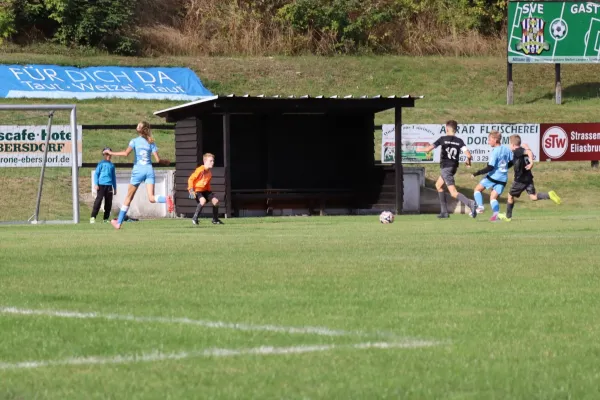 30.08.2026 SV 1990 Ebersdorf II vs. LSV 49 Oettersdorf