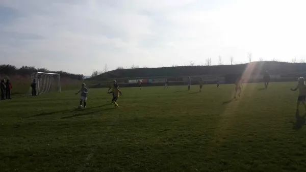 10.04.2019 SV 1990 Ebersdorf vs. VFR Bad Lobenstein II